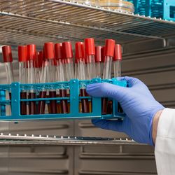 scientist's hand putting test tubes into CO2 incubator