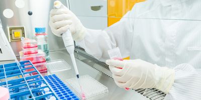 A scientist seeding cells and pipetting growth medium into 96-well plate for molecular assay in biological cabinet