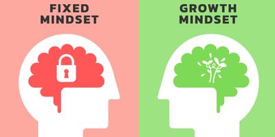 Big head illustrations human with brain inside. One representing a lock and fixed mindset and the other with a plant representing a growth mindset