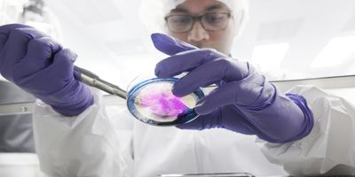 Scientist wearing full PPE working in a cleanroom with cell culture