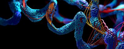 Mapping Protein Binding Affinities with Mass Photometry