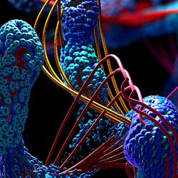 Mapping Protein Binding Affinities with Mass Photometry