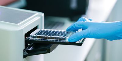 Scientist wearing blue latex gloves places a microplate in a plate reader