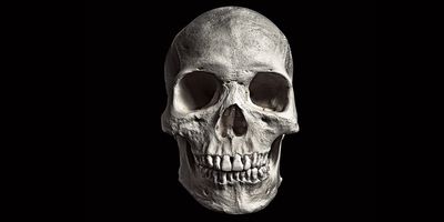 Human skull facing the camera on a black background