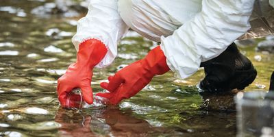 Scientist collects water samples from a stream