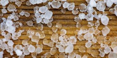 Hail on a deck