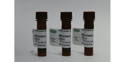 Vials of the new StarBright dyes