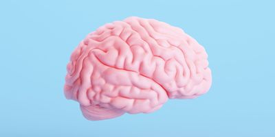 A 3D render of a human brain set against a light blue background