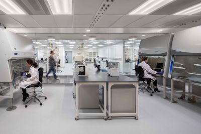 Interior shot of a Cedars-Sinai lab with biological safety cabinets