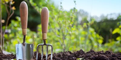 A trowl and garden fork in the dirt on a farm