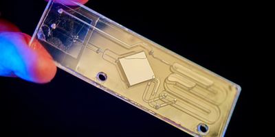 a microfluidic device made of clear rectangular plastic with a white diamond in the center and visible flow channels being held in front of a black background