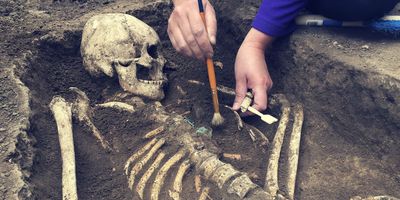 Skeletal remains being excavated