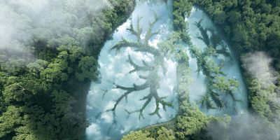 3d rendering of a lake in the shape of human lungs in the middle of a lush forest