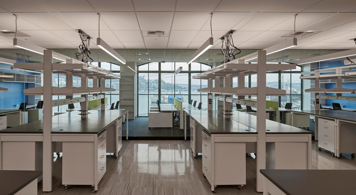 Photo of one of the Hutch's labs