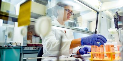 Female Researcher Preparing Tissue Cultures in Biological Safety Cabinet.