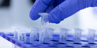 Scientist drops a PCR tube in a holder