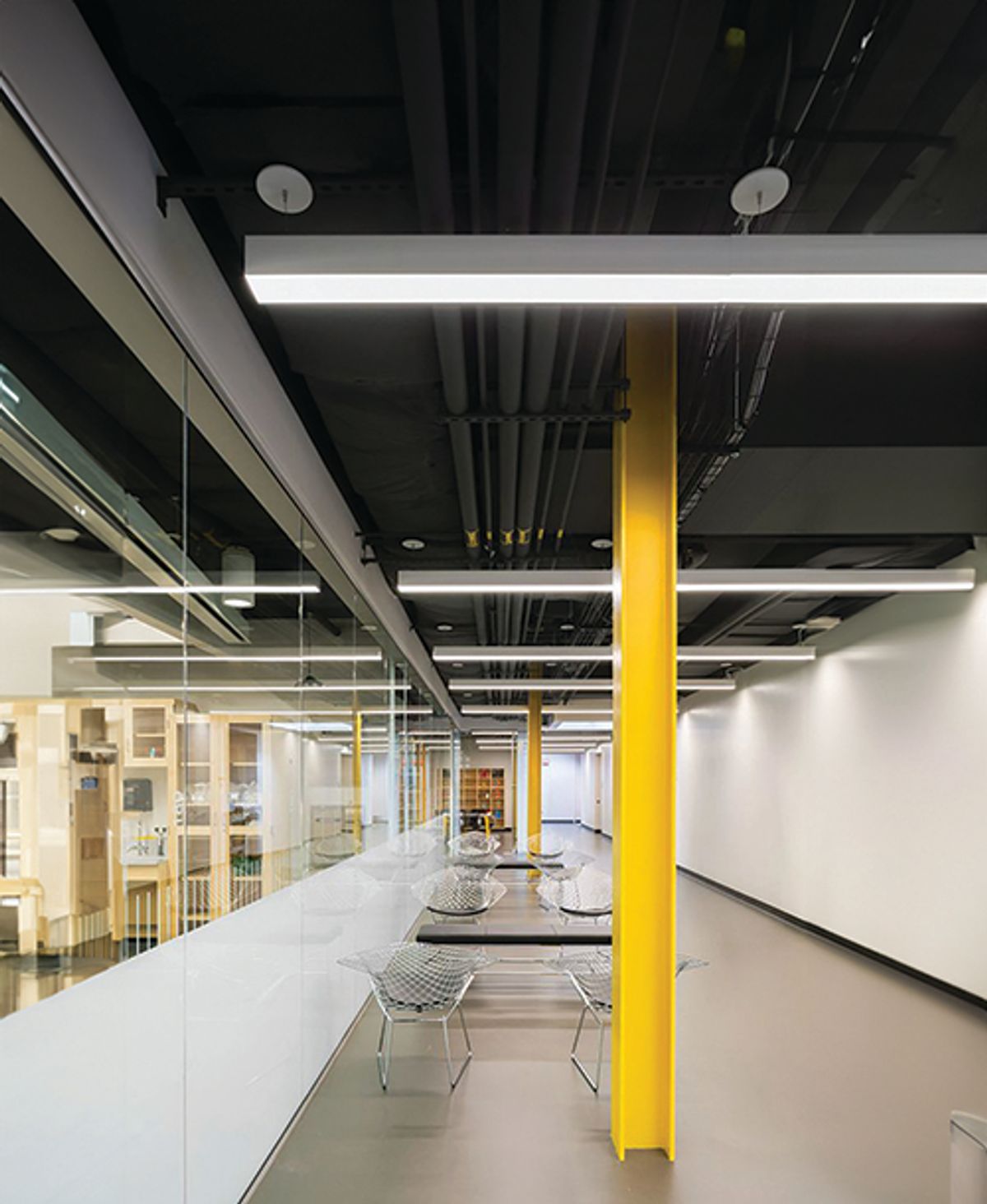 Bellevue University renovated lab hallway