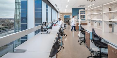 Man works at a lab bench in front of a row of windows