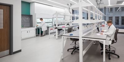 Two scientists work in a lab at the Elm City Bioscience Center.