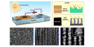 a schematic diagram from the study showing the cork cleanup setup as well as SEM images of the cork surface before and after laser treatment 