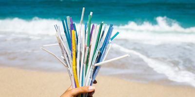 a hand holding a multicolored bunch of plastic straws with a sandy beach and ocean waves in the background