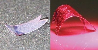 Liquid Crystal Polymer Learns to Move and Grab Objects