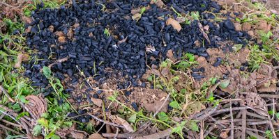 Small pile of biochar