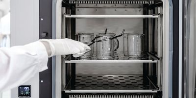 A closeup of someone putting glassware into a laboratory oven.