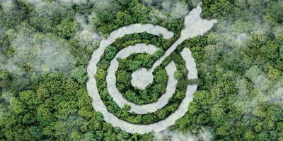 Illustration of an aerial view of a forest with a target in the trees