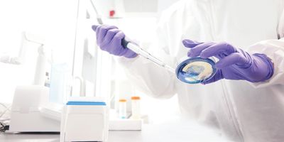 Scientist working in a biosafety cabinet