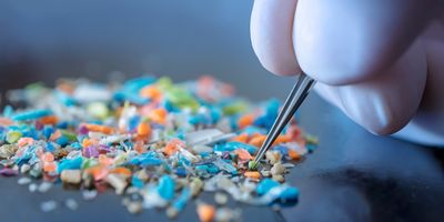 Tweezers picking up pieces of microplastic