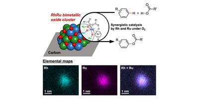 Diagram showing RhRu bimetallic oxide clusters supported on carbon catalyzed the cross-dehydrogenative coupling of arenes and carboxylic acids with molecular oxygen as the sole oxidant. The reactivity of the Rh active center was synergistically enhanced by Ru.