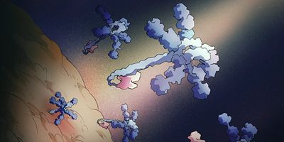 An illustration showing umbrella-shaped antibacterial toxin particles drifting toward and engaging a bacterial target cell. The toxins are  derived from Streptomyces and potently inhibit the growth of competing species in the same genus.