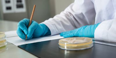 Researcher wearing gloves with a petri dish