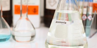 An erlenmeyer flask containing a clear liquid labeled Ammonia sits on a benchtop in a lab, with other beakers and lab equipment in the background