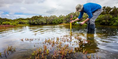 Researcher taking samples in the field