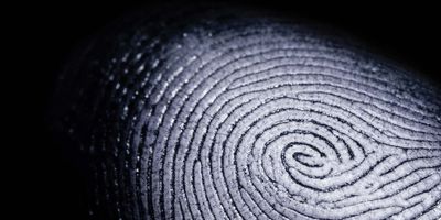 A large white fingerprint on a black background to represent forensics.