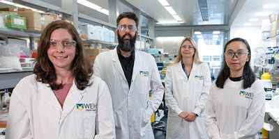 a photo of the research team standing in a line in their lab, from left to right are: Dr Sarah Diepstraten, Dr Eddie La Marca, Associate Professor Gemma Kelly, and Dr Yin Yuan