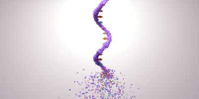 Strand of RNA disolving 