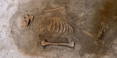 Human remains in a burial 