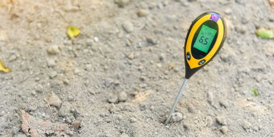 pH Meter sticking out of the soil