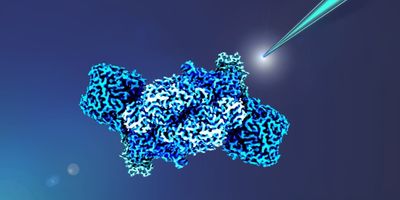 3d rendering of the biocatalyst iron nitrogenase in shades of blue, looks sort of like a wrinkly walnut, with a teal pipette tip pointing towards it from the top right of the image, all on a royal blue background