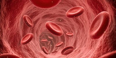 Computer image of red blood cells flowing through a vein