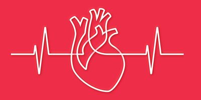 Drawing of a heart under a heart rate monitor pulse trace