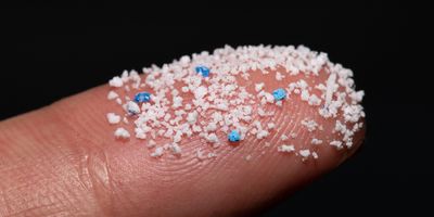 Microplastic on the tip of someones finger