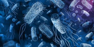 3d rendering of various bacteria in different shades of blue all on a blue background