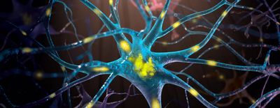 Advanced Cell Models Enable Neurodegenerative Disease Research