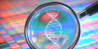 a white DNA helix under a magnifying glass with colorful Sanger sequencing DNA analysis stripes as the background