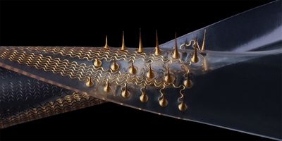 Stretchable microneedle electrode arrays made of clear backing with gold colored spikes and wires on their surface