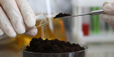 hands in white lab gloves scoop dark brown soil out of a petri dish and into a test tube